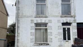 Development/Investment in Swansea photo